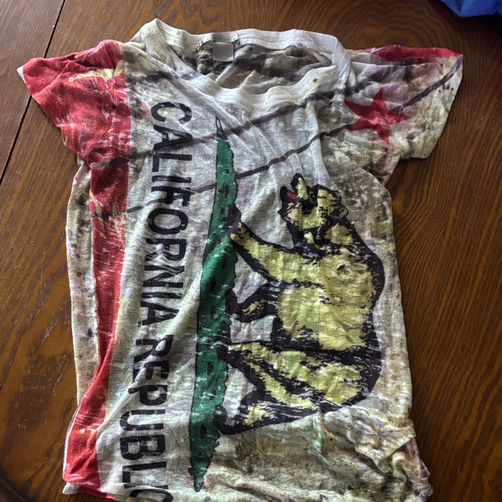 California Republic Graphic Sheer T-Shirt - Multicolor